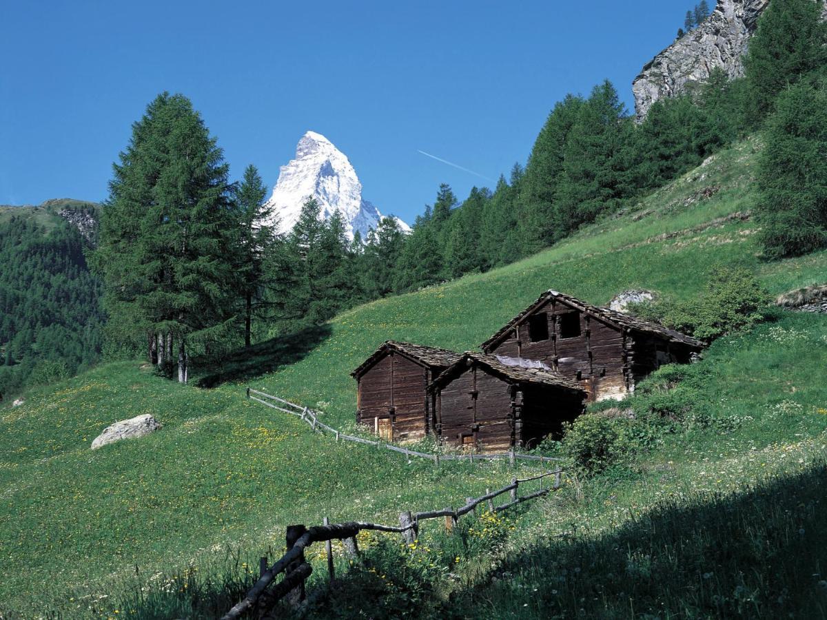 Apartment Richemont By Interhome Zermatt Exteriér fotografie